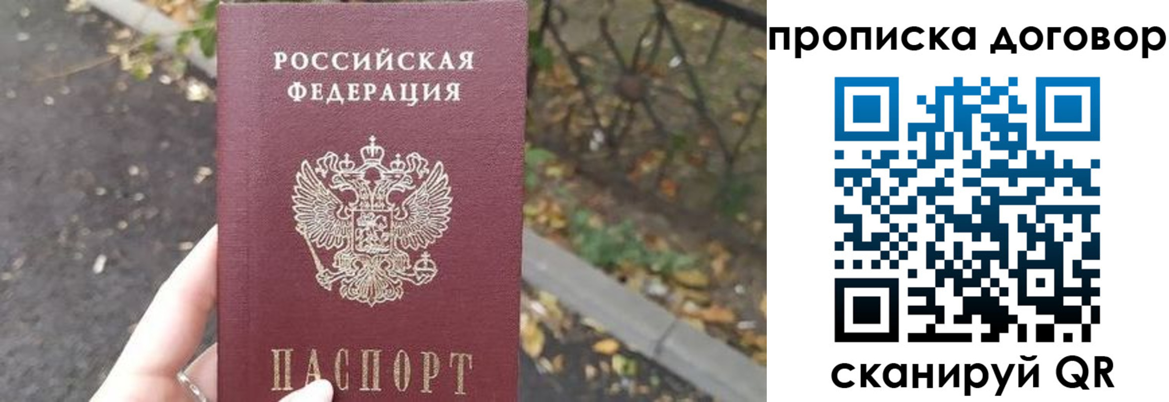 временная регистрация недорого в Струнино